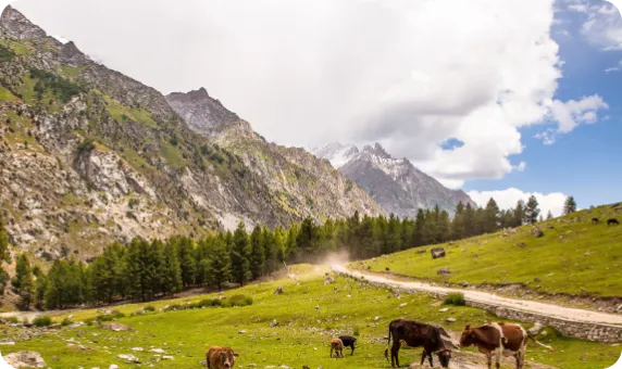We Believe in Nature!