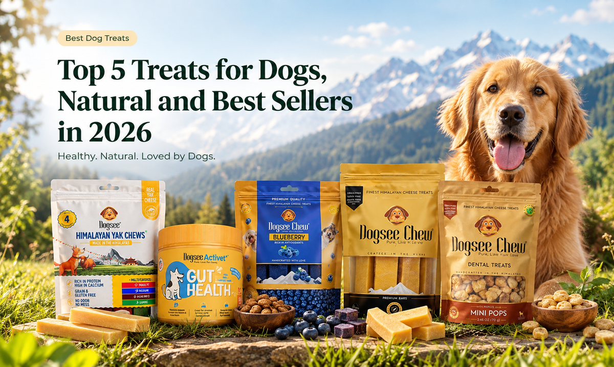 Top Rated Dental Chews for Dogs, Natural and Best Sellers in 2026