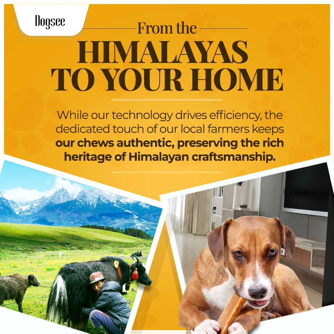 Dogsee Original Yak Cheese Himalayan Dog Chews