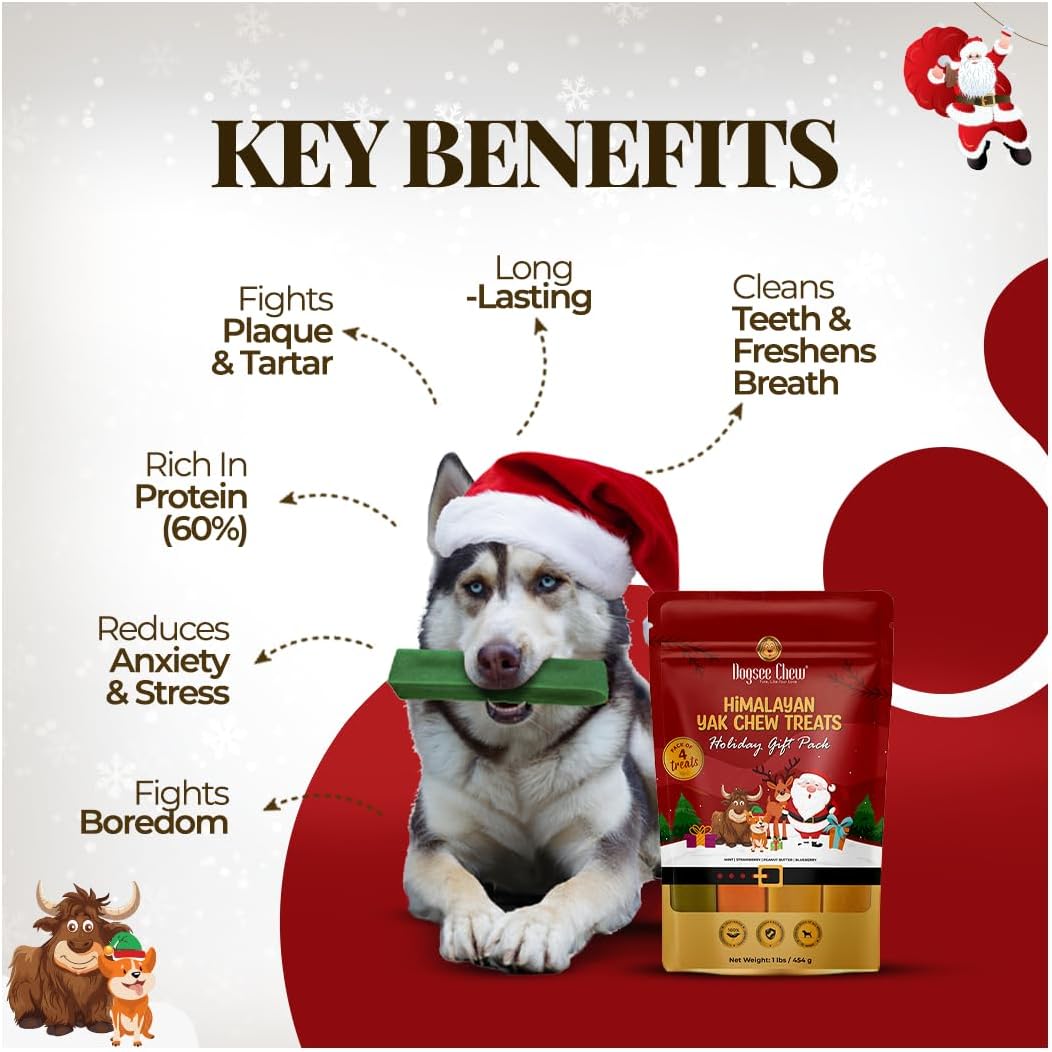 Dogsee Festive for Dogs (Strawberry, Blueberry, Peanut & Mint)