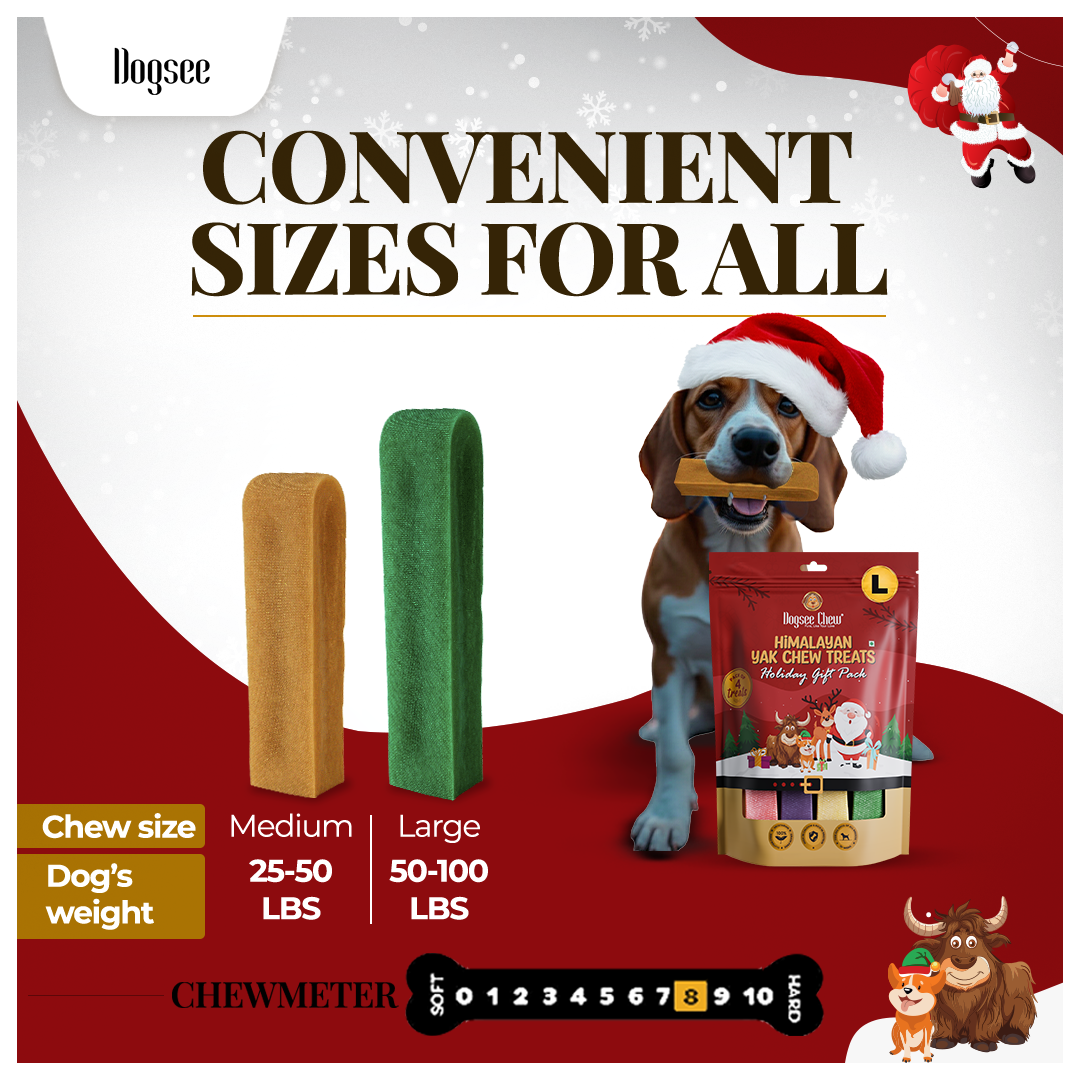 Dogsee Festive Yak Cheese Bars Large - 4 Bars + Activet Skin & Coat Chews (90) + Play Yakatoy Combo for Dogs