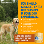 Dogsee Activet Supplement