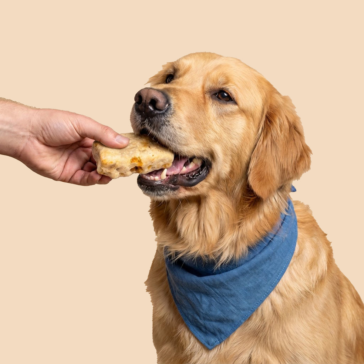 Original Himalayan Puffy Bars for Senior dogs