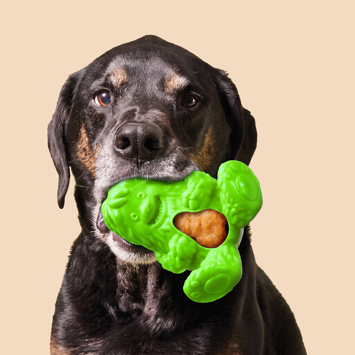 Green Play Interactive Treatoy