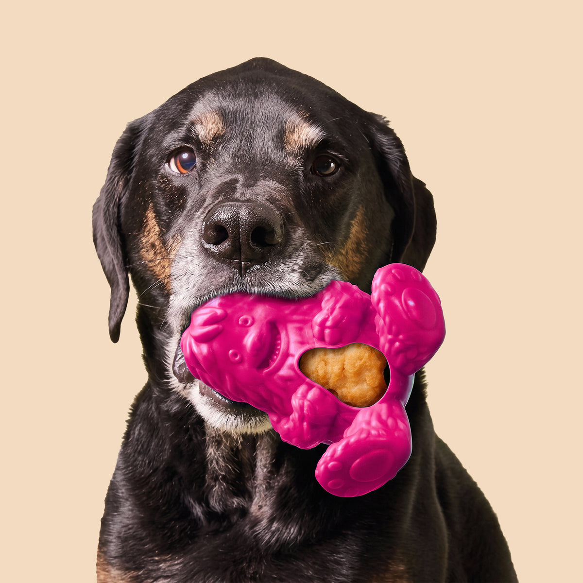 Pink Play Interactive Treatoy