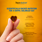 Dogsee Activet Supplement