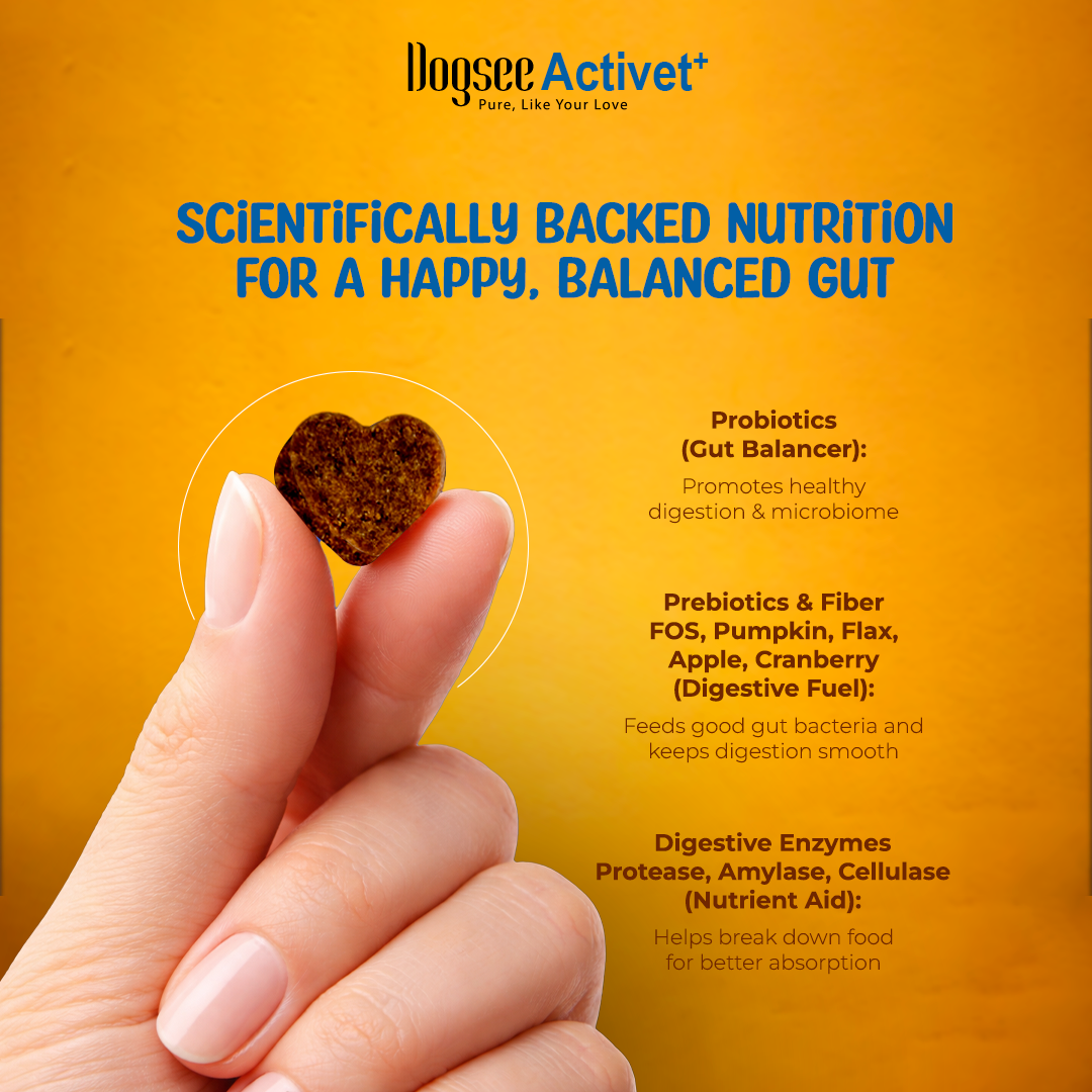 Dogsee Activet Supplement