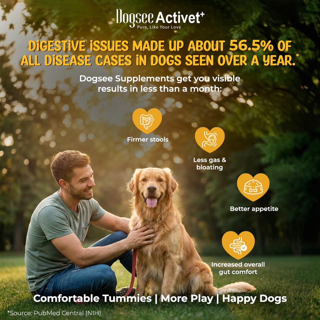 Dogsee Activet Supplement