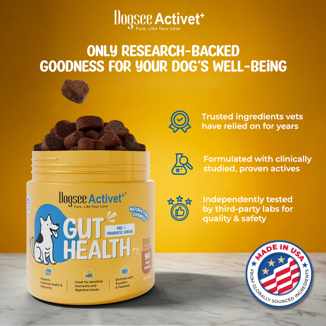 Dogsee Activet Supplement