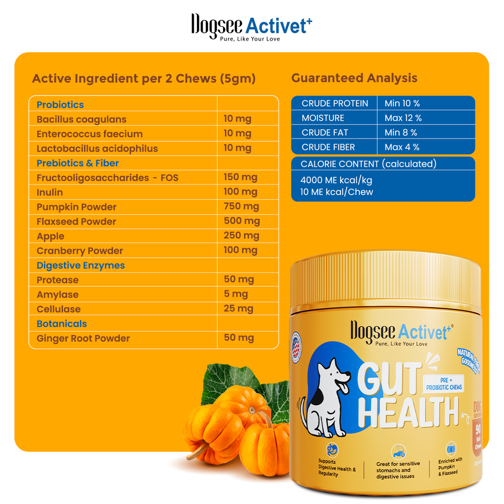 Dogsee Activet Supplement