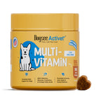Dogsee Activet Supplement
