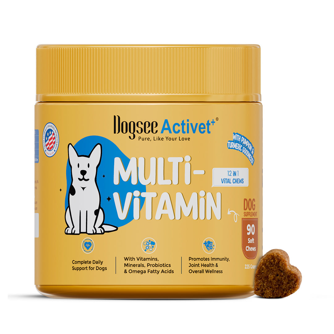 Dogsee Activet Supplement