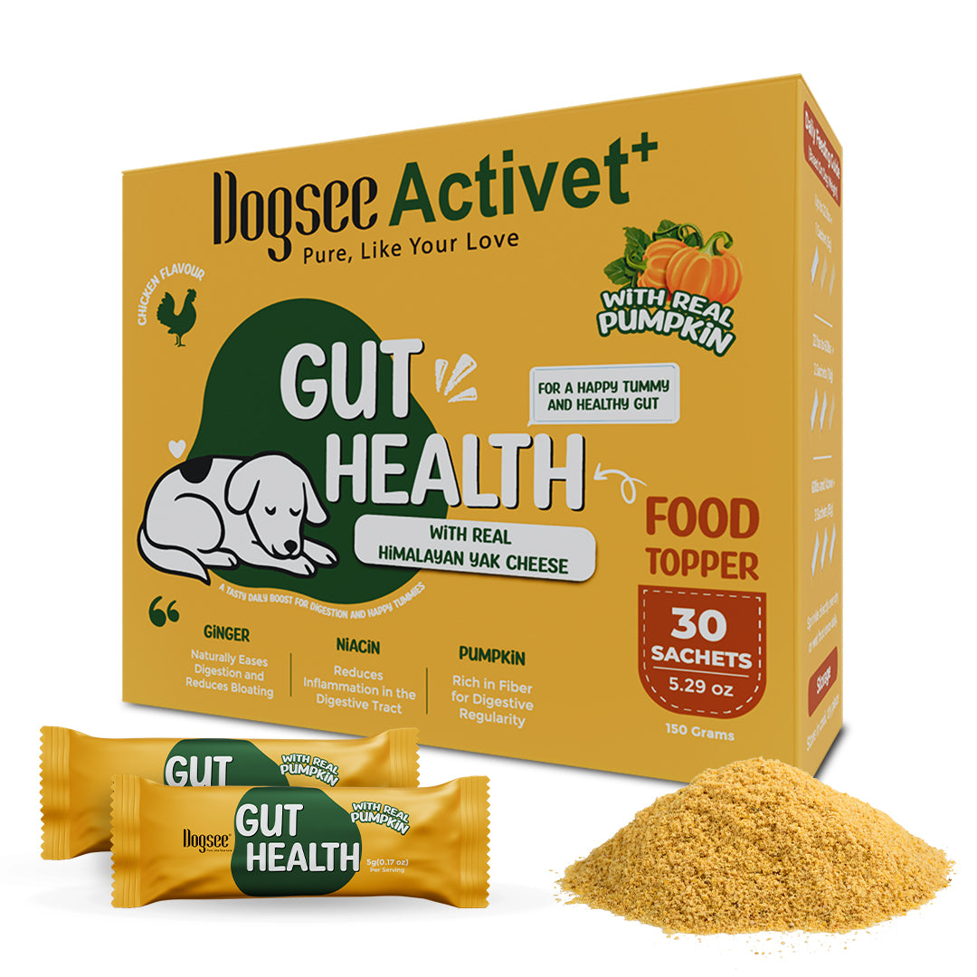 Dogsee Activet Supplement