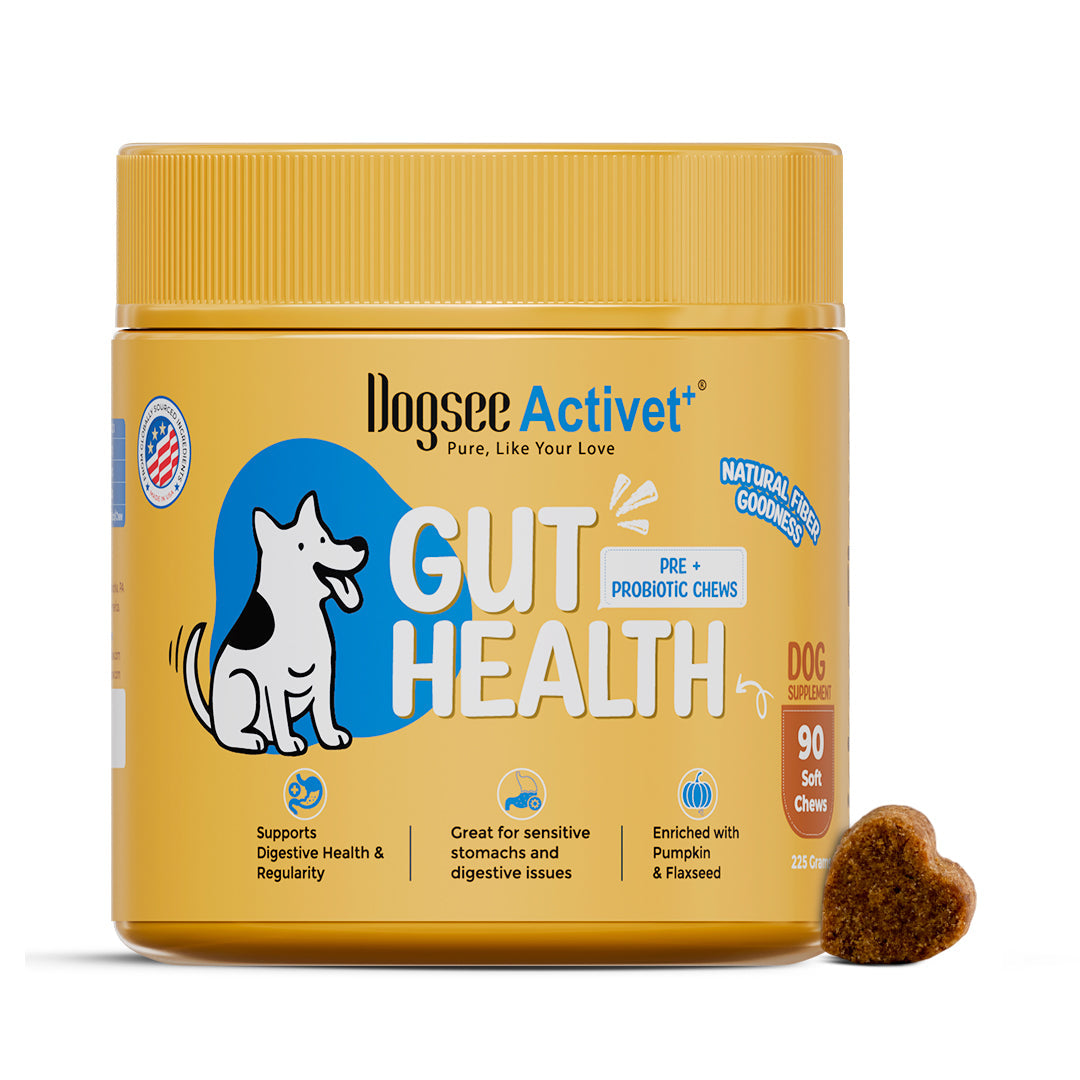 Dogsee Activet Supplement