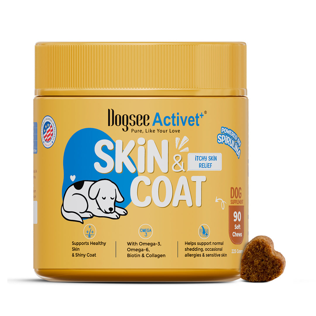 Dogsee Activet Supplement