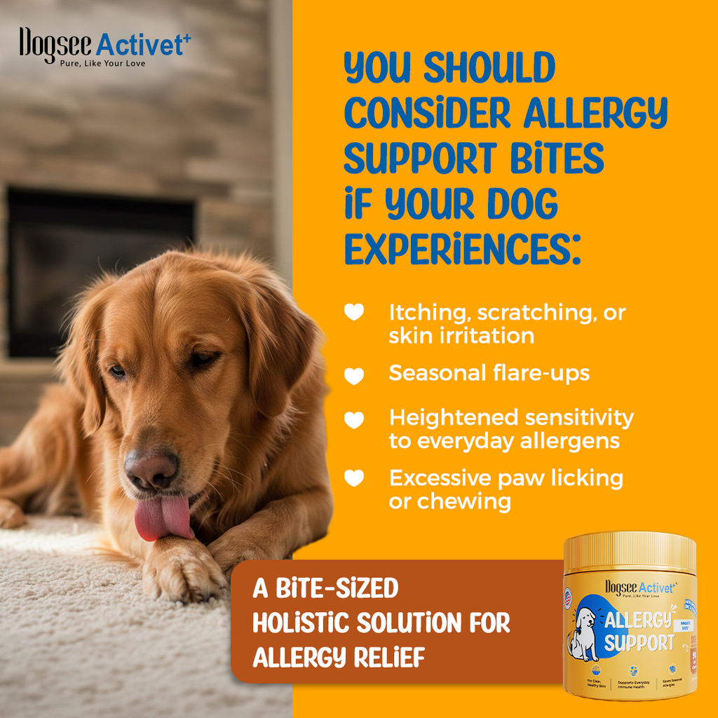 Dogsee Activet Supplement
