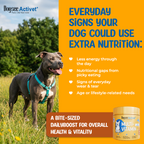 Dogsee Activet Supplement