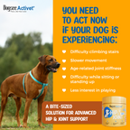Dogsee Activet Supplement