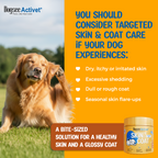 Dogsee Activet Supplement