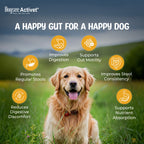 Dogsee Activet Supplement