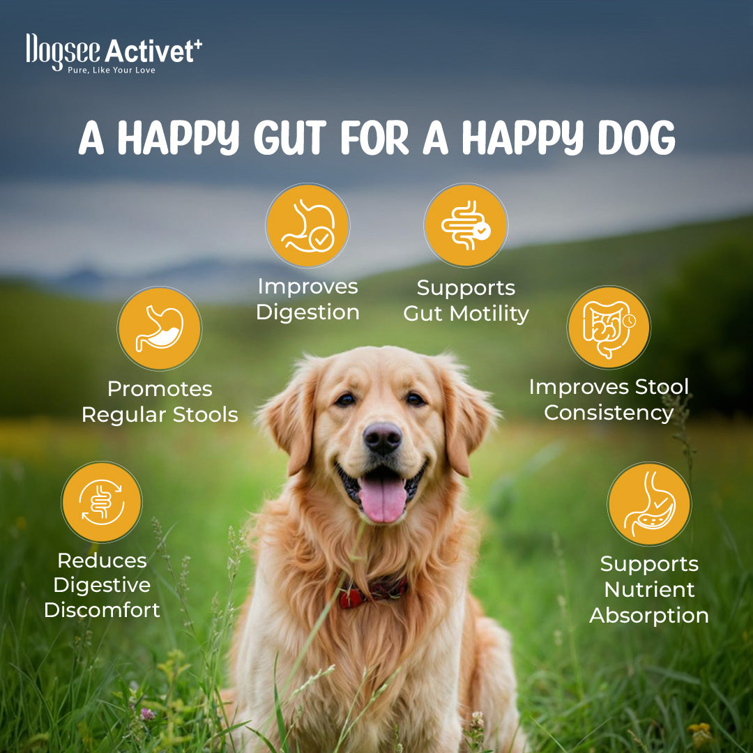 Dogsee Activet Supplement