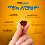 Dogsee Activet Supplement