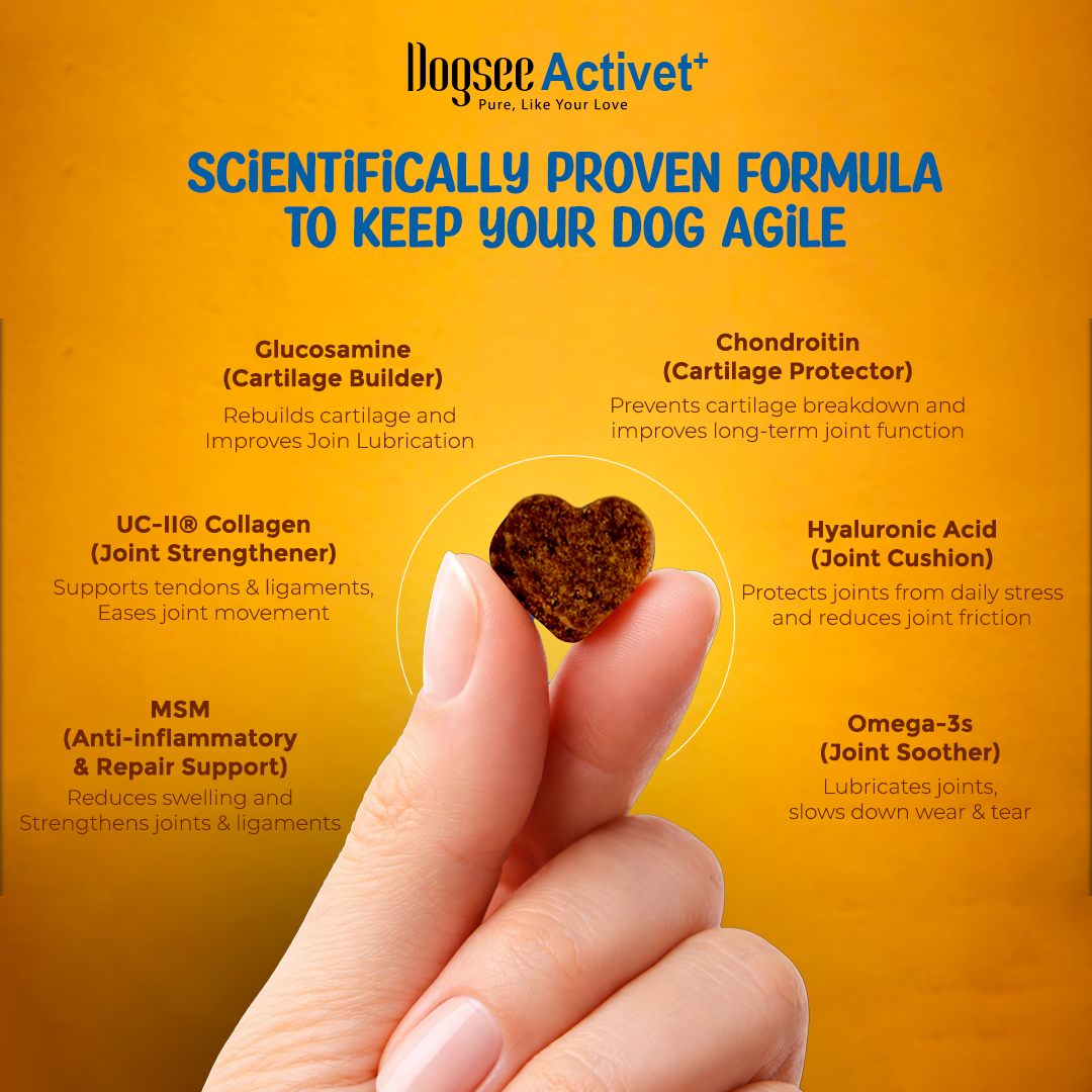 Dogsee Activet Supplement
