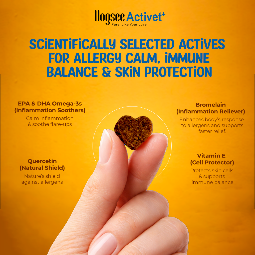 Dogsee Activet Supplement