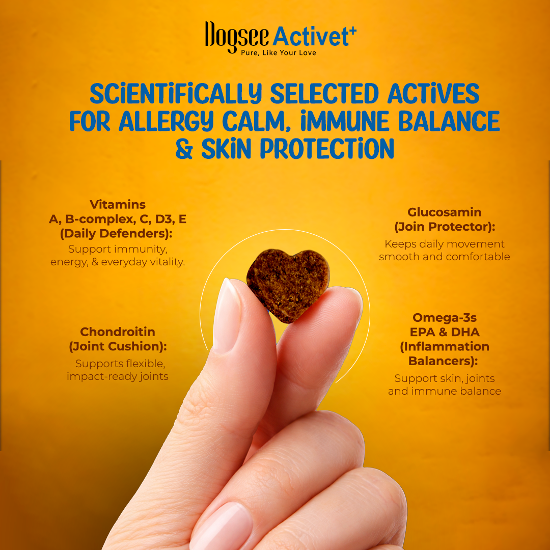 Dogsee Activet Supplement