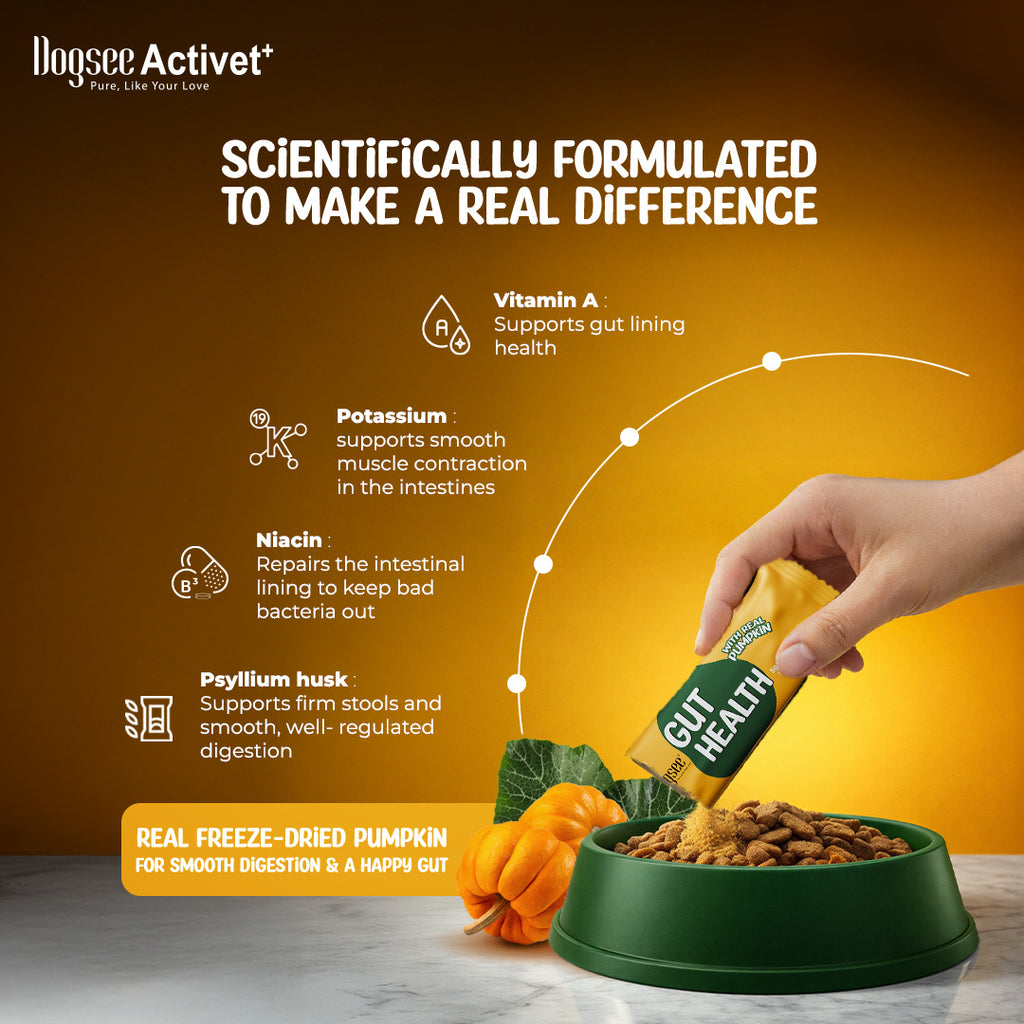 Dogsee Activet Supplement