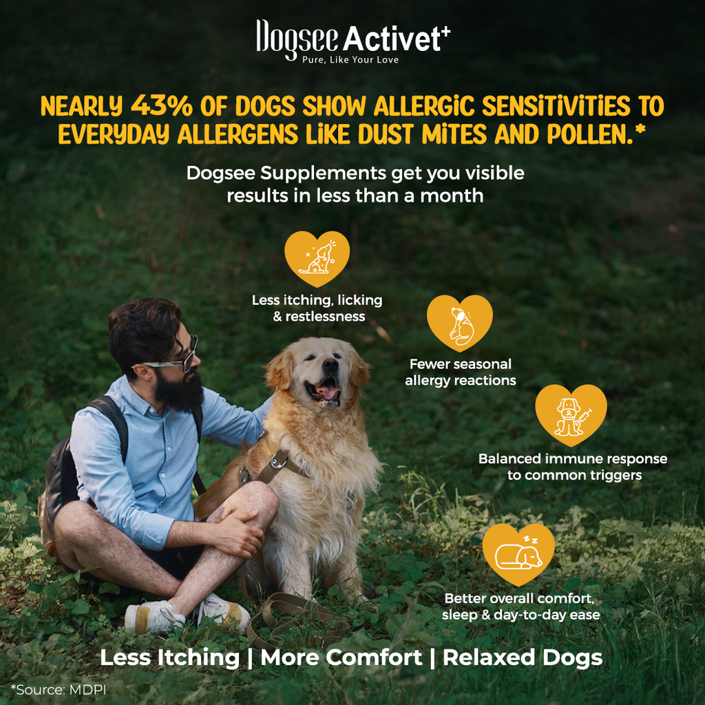 Dogsee Activet Supplement