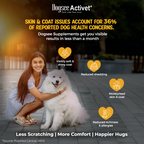 Dogsee Activet Supplement