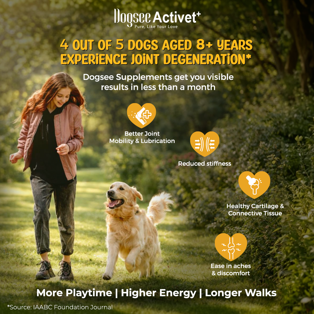 Dogsee Activet Supplement
