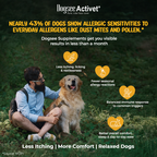 Dogsee Activet Supplement