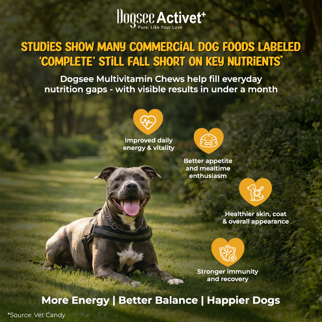 Dogsee Activet Supplement