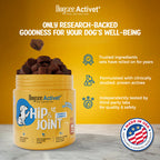 Dogsee Activet Supplement