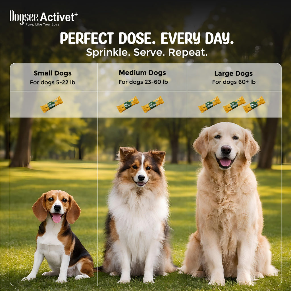 Dogsee Activet Supplement