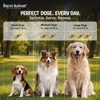 Dogsee Activet Supplement