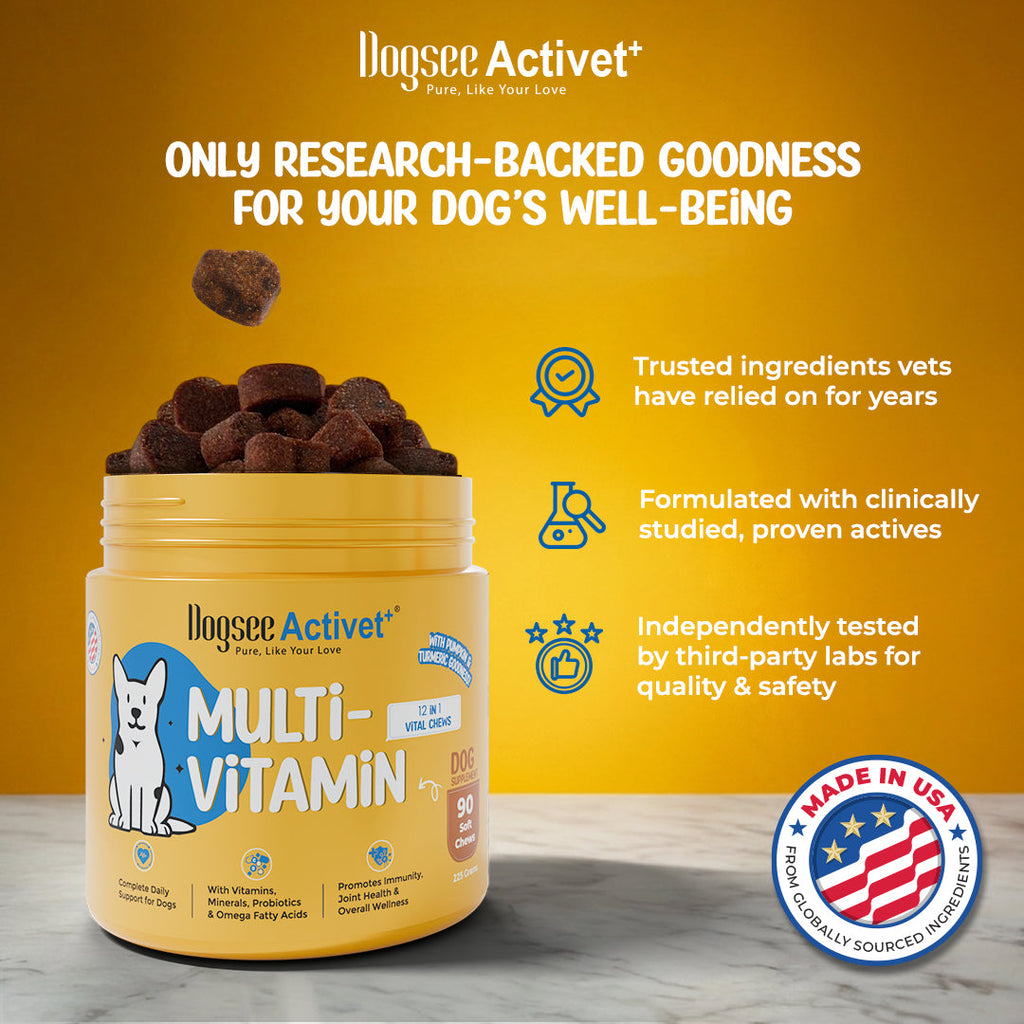 Dogsee Activet Supplement