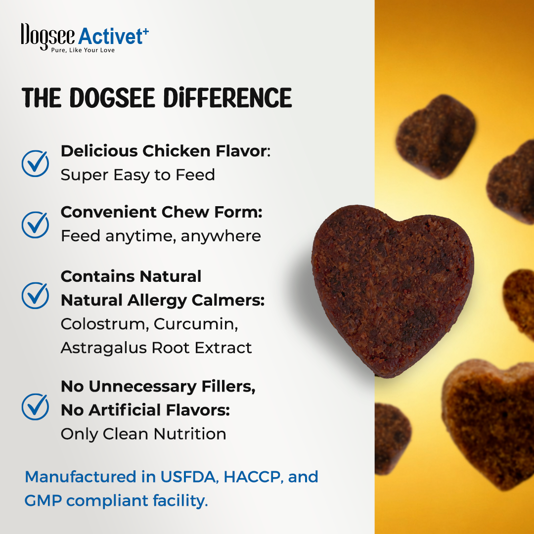 Dogsee Activet Supplement
