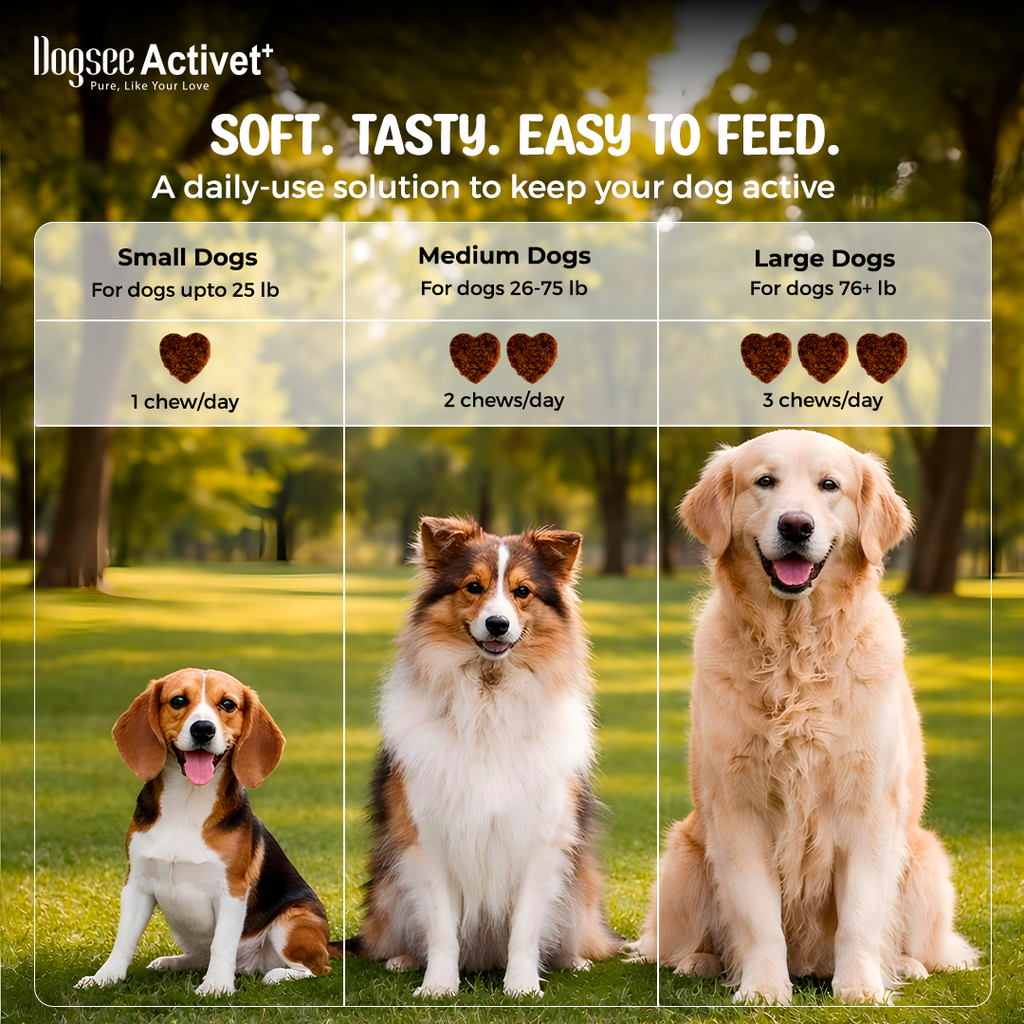 Dogsee Activet Supplement