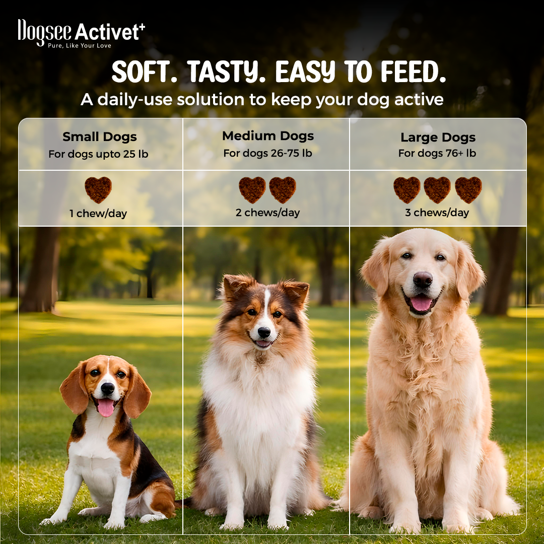 Dogsee Activet Supplement