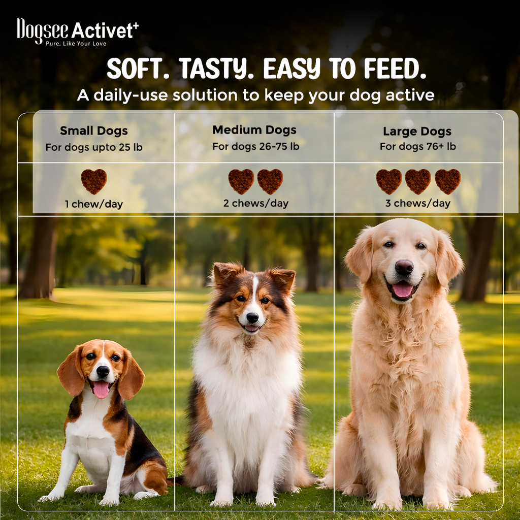 Dogsee Activet Supplement