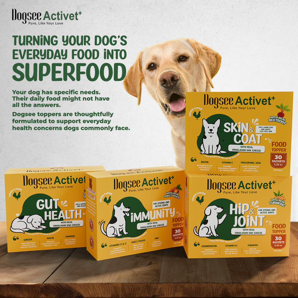 Dogsee Activet Supplement