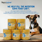 Dogsee Activet Supplement
