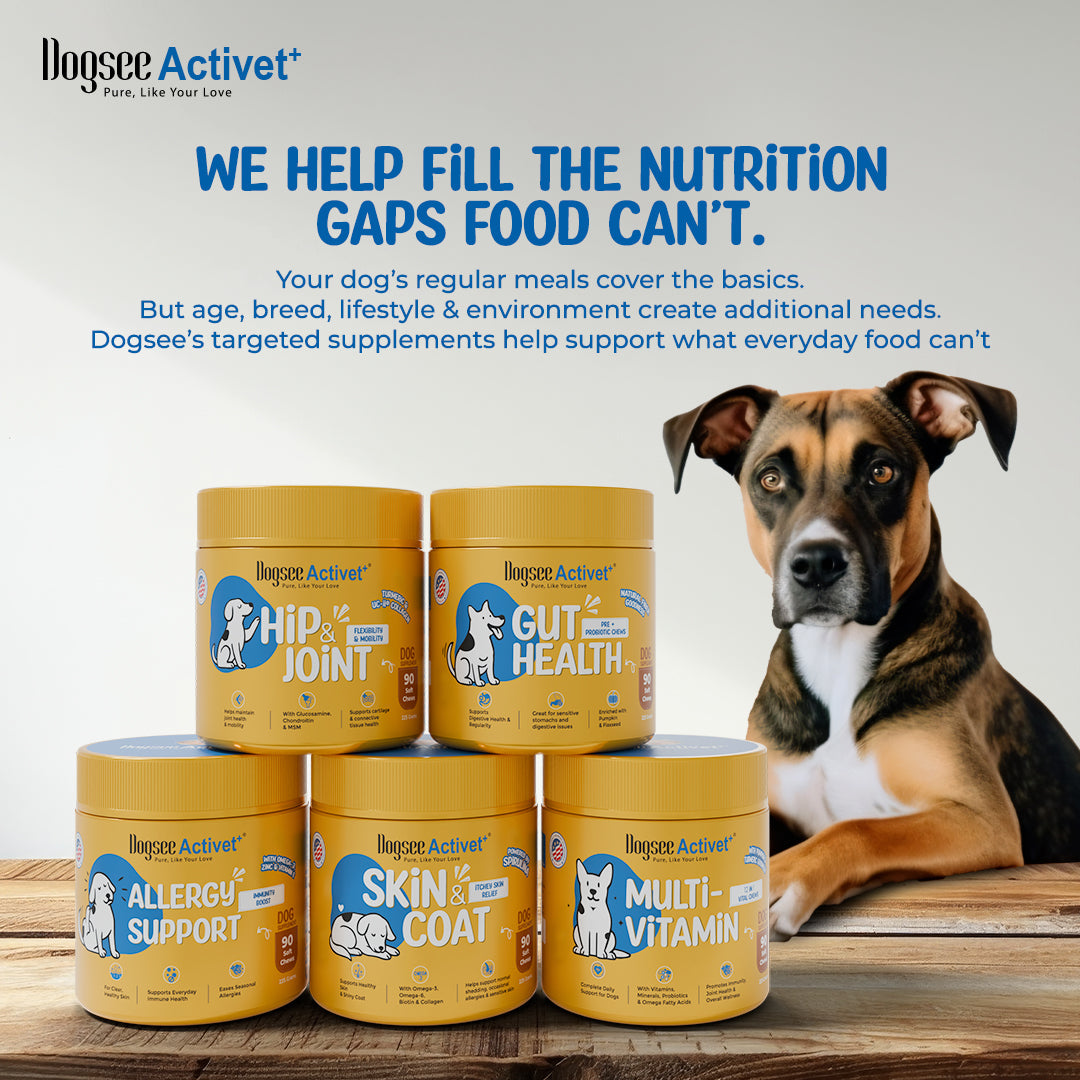 Dogsee Activet Supplement