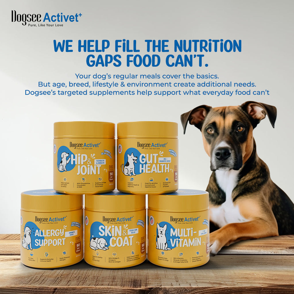 Dogsee Activet Supplement