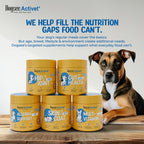 Dogsee Activet Supplement