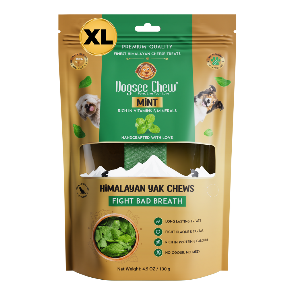 Dogsee Mint Yak Cheese Himalayan Dog Chews