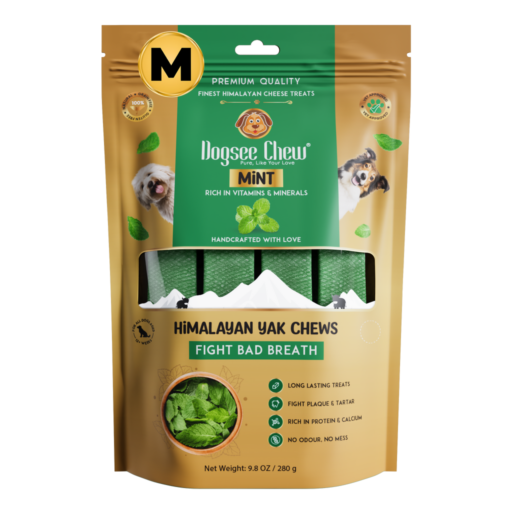 Dogsee Mint Yak Cheese Himalayan Dog Chews